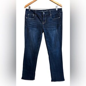 American Eagle Outfitters Deep Indigo Straight Stretch Jeans